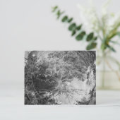 Carte Postale Arbre de santé en noir et blanc (Debout devant)