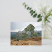 Carte Postale Arbre de Sedona (Debout devant)