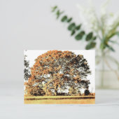 Carte Postale Arbre de vie (Debout devant)