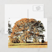 Carte Postale Arbre de vie (Devant / Derrière)