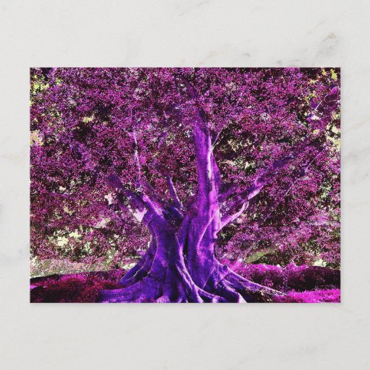 Carte Postale Arbre de vie Coeur (Devant)