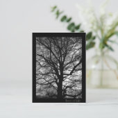 Carte Postale Arbre de vie - Lebensbaum - Baum des Lebens (Debout devant)