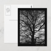 Carte Postale Arbre de vie - Lebensbaum - Baum des Lebens (Devant / Derrière)