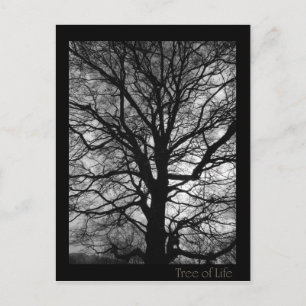 Carte Postale Arbre de vie - Lebensbaum - Baum des Lebens