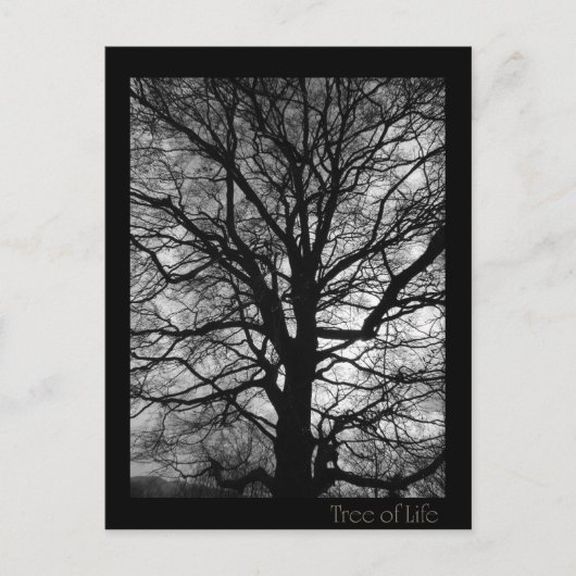 Carte Postale Arbre de vie - Lebensbaum - Baum des Lebens (Devant)