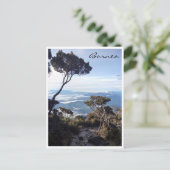 Carte Postale arbre de vue kinabalu (Debout devant)