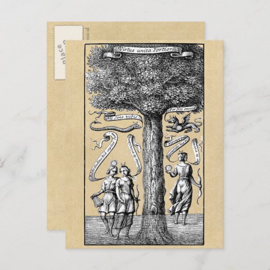 Carte Postale Arbre des opposants unis en alchimie (Devant / Derrière)