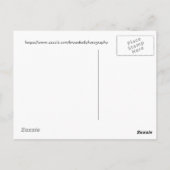 Carte Postale Arbre d'eucalyptus arc-en-ciel Maui, Hawaï (Dos)