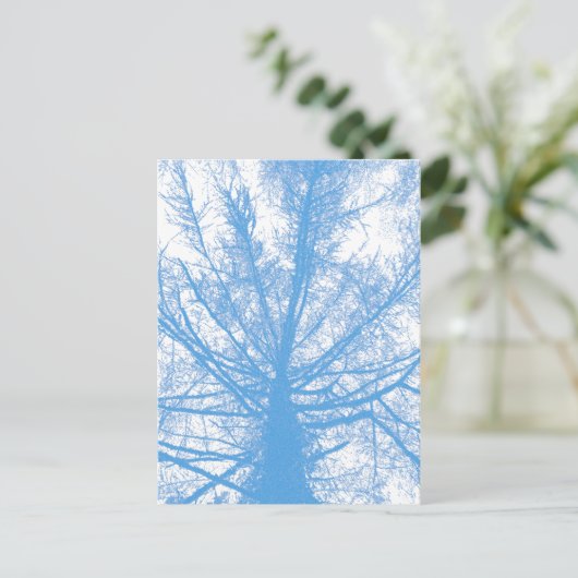 CARTE POSTALE ARBRE D'HIVER (Debout devant)