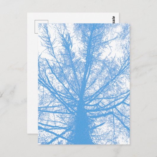 CARTE POSTALE ARBRE D'HIVER (Devant / Derrière)