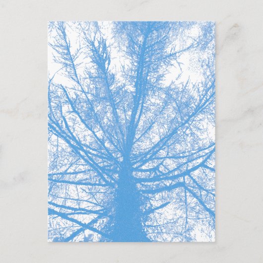 CARTE POSTALE ARBRE D'HIVER (Devant)