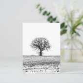 Carte Postale Arbre d'hiver (Debout devant)