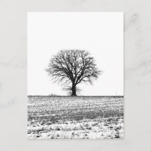Carte Postale Arbre d'hiver (Devant)
