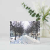 Carte Postale Arbre d'hiver à Prague (république tchèque) (Debout devant)