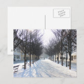 Carte Postale Arbre d'hiver à Prague (république tchèque) (Devant / Derrière)
