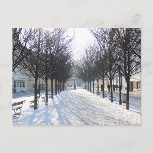 Carte Postale Arbre d'hiver à Prague (république tchèque) (Devant)