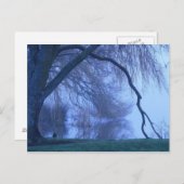 Carte Postale Arbre d'hiver et lac (Devant / Derrière)