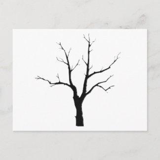 Carte Postale Arbre d'hiver Jeu noir et blanc