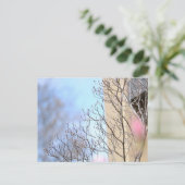 Carte Postale Arbre du début du printemps (Debout devant)