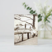 Carte Postale Arbre Du Passé (Debout devant)