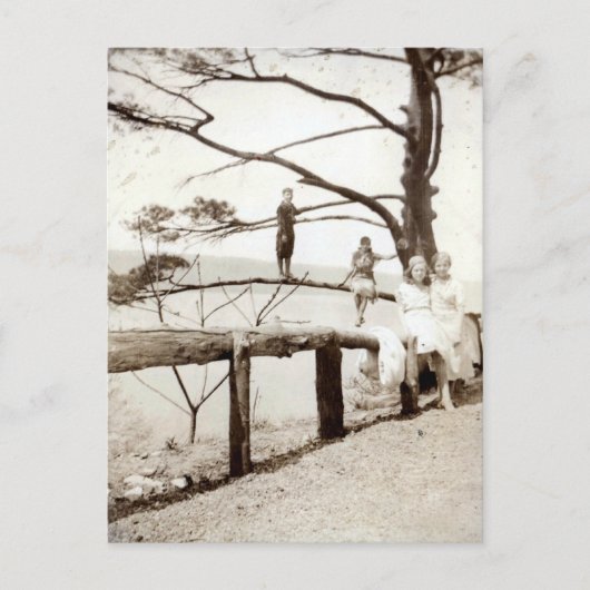 Carte Postale Arbre Du Passé (Devant)