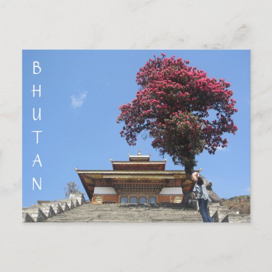 Carte Postale arbre du temple bhoutan (Devant)