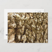 Carte Postale Arbre écorce II Conception texturée naturelle (Devant / Derrière)