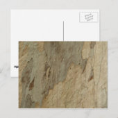 Carte Postale Arbre écorce III Abstrait naturel texturé (Devant / Derrière)