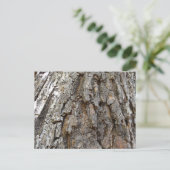 Carte Postale Arbre écorce IV Nature Abstraite (Debout devant)