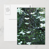 CARTE POSTALE ARBRE EN BOIS DANS LE BLOG DU PRINTEMPS (Devant / Derrière)