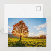 Carte Postale Arbre en feu (Devant / Derrière)