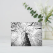 Carte Postale Arbre en noir et blanc (Debout devant)