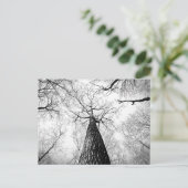Carte Postale Arbre en noir et blanc (Debout devant)