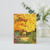 Carte Postale Arbre en or (Debout devant)