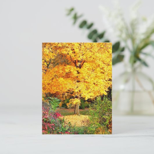 Carte Postale Arbre en or (Debout devant)