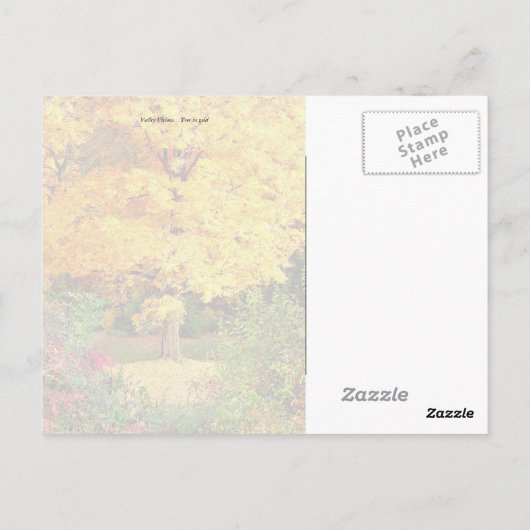 Carte Postale Arbre en or (Dos)