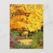 Carte Postale Arbre en or (Devant)