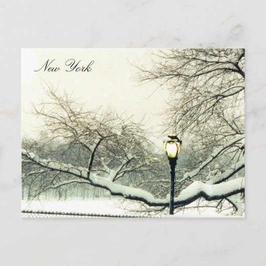 Carte Postale arbre enneigé du parc central (Devant)