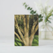 Carte Postale Arbre Ensoleillé (Debout devant)