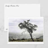Carte Postale Arbre esseulé (Devant / Derrière)