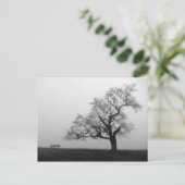 Carte Postale Arbre et banc dans le brouillard (Debout devant)