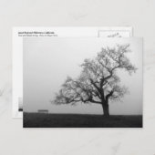 Carte Postale Arbre et banc dans le brouillard (Devant / Derrière)