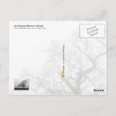 Carte Postale Arbre et banc dans le brouillard (Dos)