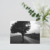 Carte Postale Arbre et route latéraux de l'océan noir et blanc (Debout devant)