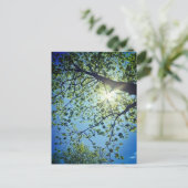 Carte postale Arbre et Sun (Debout devant)