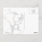 Carte Postale Arbre familial vautour (Dos)