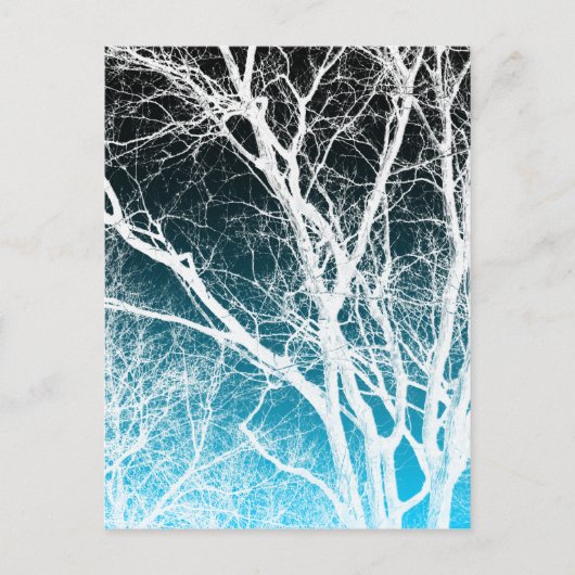 Carte Postale arbre fantôme (Devant)