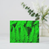 Carte Postale arbre_fern (Debout devant)