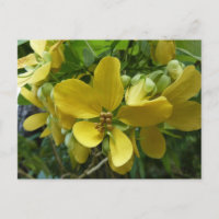 Arbre floral tropical jaune Shower doré