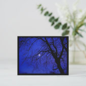 Carte Postale Arbre foncé (Debout devant)
